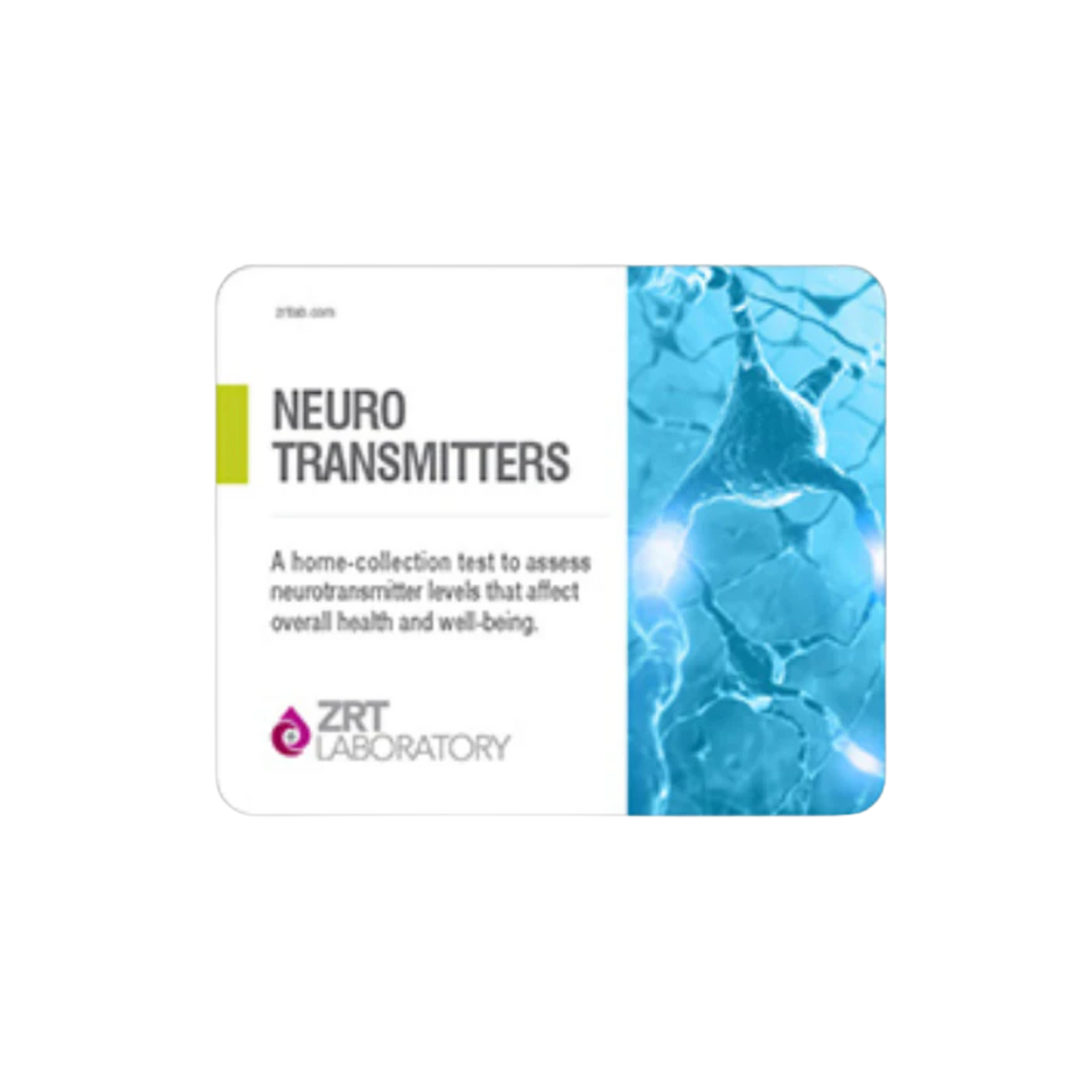 Neurotransmitters Kit