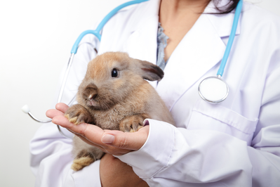 medicine compounding for pets